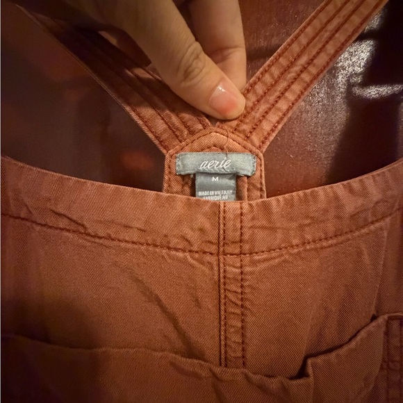Aerie Rust Overalls - Picture 6 of 9